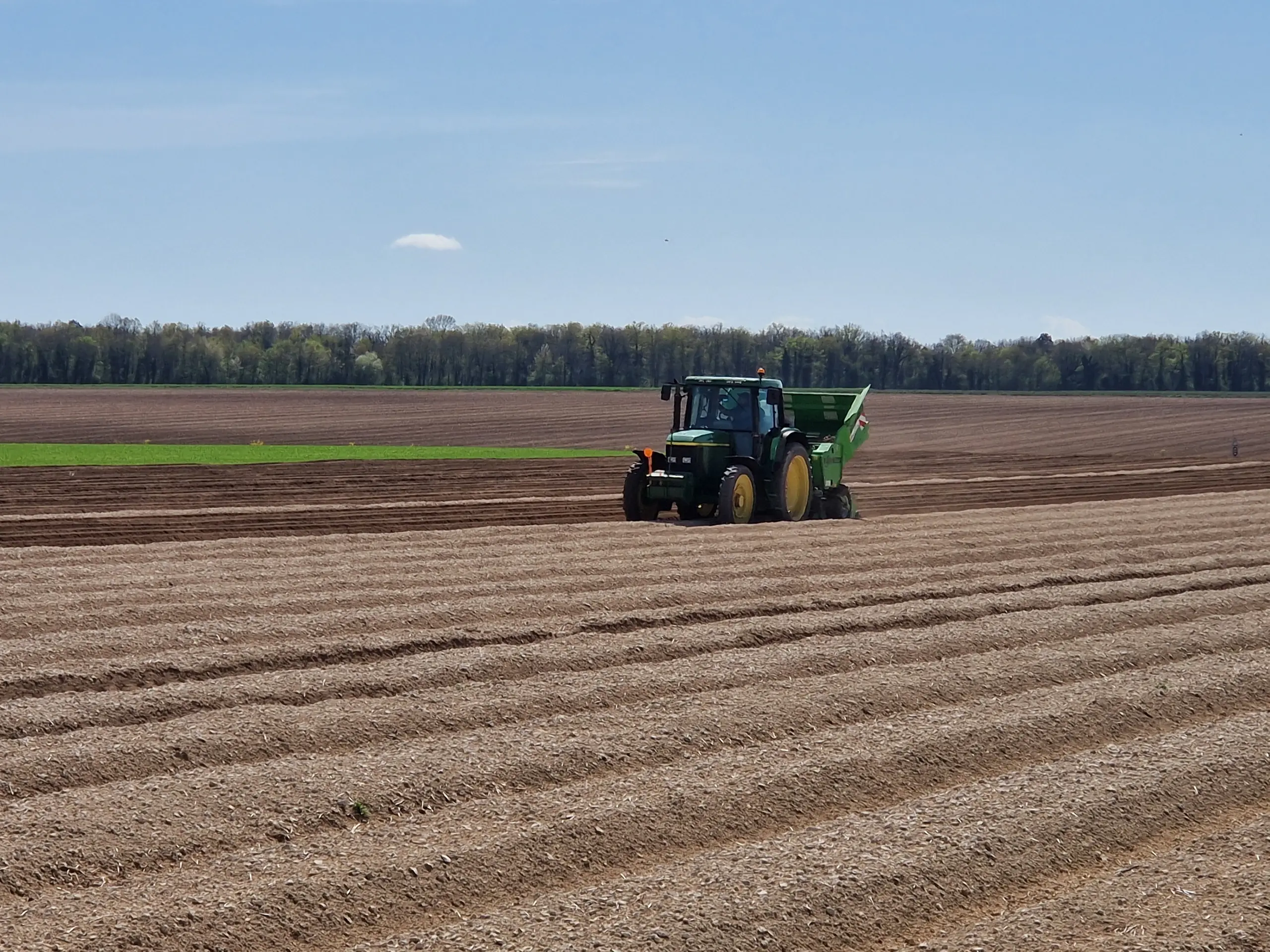 Plantation des pommes de terre