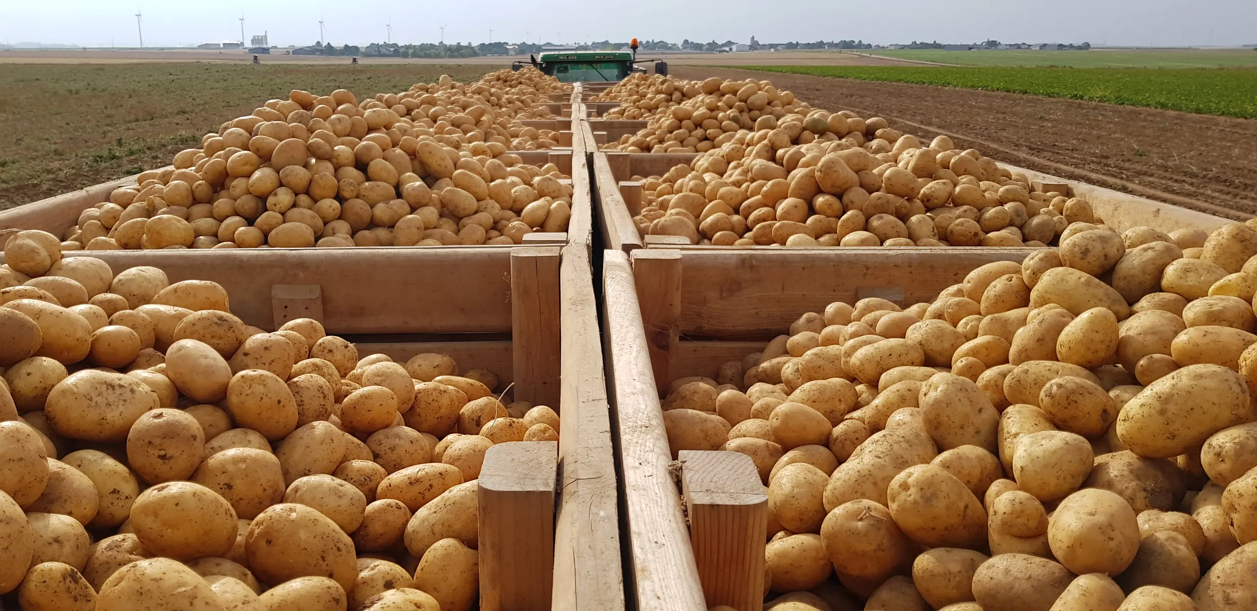 Pommes de terre du G&acirc;tinais